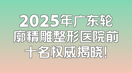 2025年广东轮廓精雕整形医院前十名权威揭晓！