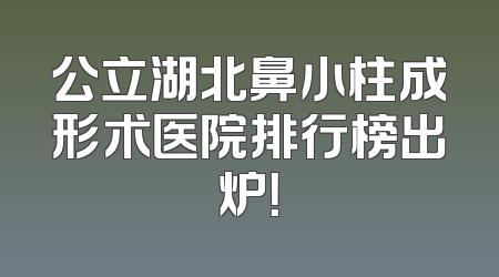 公立湖北鼻小柱成形术医院排行榜出炉！
