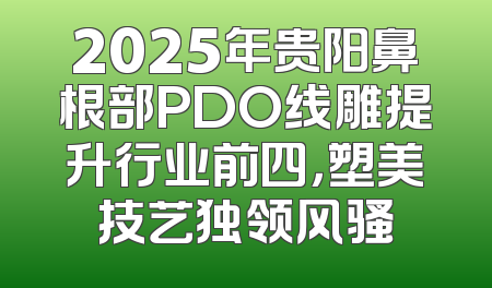 2025年贵阳鼻根部PDO线雕提升行业前四，塑美技艺独领风骚
