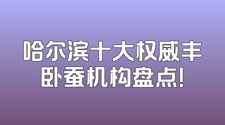 哈尔滨十大权威丰卧蚕机构盘点！
