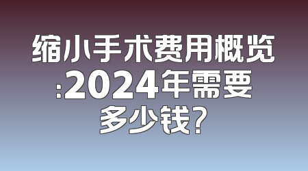 缩小手术费用概览：2024年需要多少钱？
