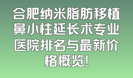合肥纳米脂肪移植鼻小柱延长术专业医院排名与最新价格概览！