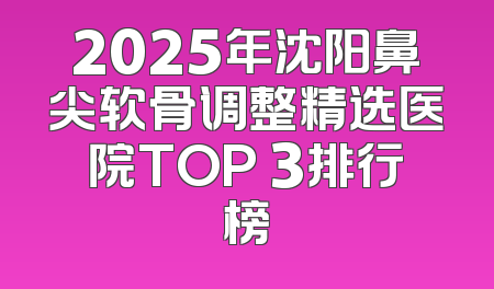 2025年沈阳鼻尖软骨调整精选医院TOP 3排行榜