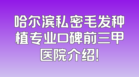 哈尔滨私密毛发种植专业口碑前三甲医院介绍！