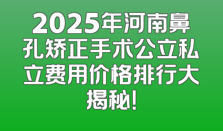 2025年河南鼻孔矫正手术公立私立费用价格排行大揭秘！