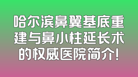 哈尔滨鼻翼基底重建与鼻小柱延长术的权威医院简介!
