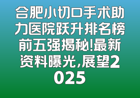 合肥小切口手术助力医院跃升排名榜前五强揭秘！最新资料曝光，展望2025