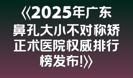 《2025年广东鼻孔大小不对称矫正术医院权威排行榜发布！》