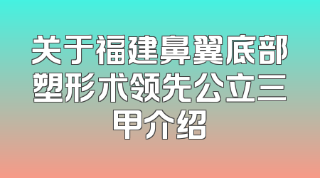 关于福建鼻翼底部塑形术领先公立三甲介绍