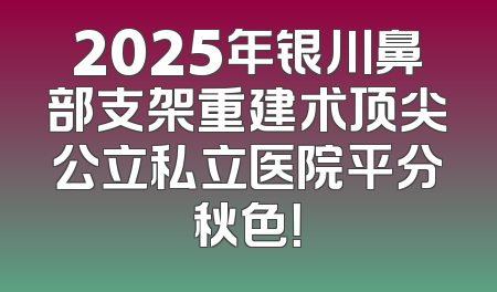 2025年银川鼻部支架重建术顶尖公立私立医院平分秋色！