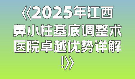《2025年江西鼻小柱基底调整术医院卓越优势详解！》
