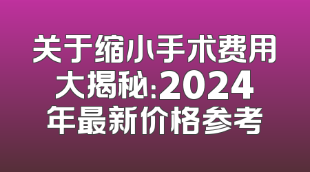 关于缩小手术费用大揭秘：2024年最新价格参考