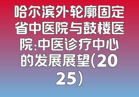 哈尔滨外轮廓固定省中医院与鼓楼医院：中医诊疗中心的发展展望（2025）