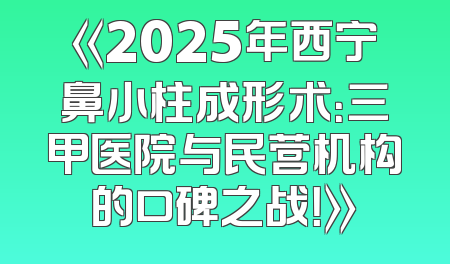 《2025年西宁鼻小柱成形术：三甲医院与民营机构的口碑之战！》