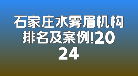 石家庄水雾眉机构排名及案例!2024