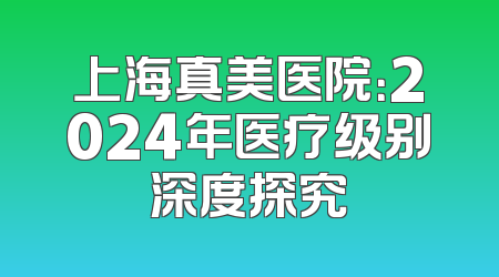上海真美医院：2024年医疗级别深度探究