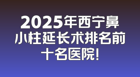 2025年西宁鼻小柱延长术排名前十名医院!