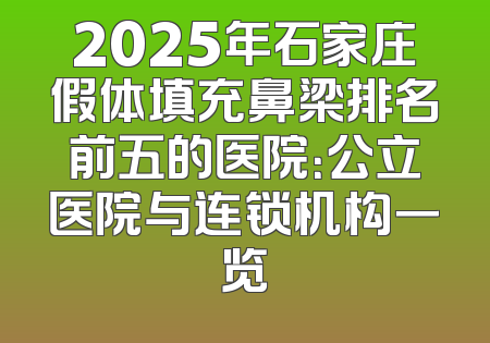 2025年石家庄假体填充鼻梁排名前五的医院：公立医院与连锁机构一览