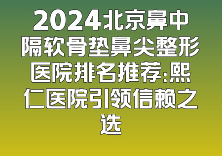 2024北京鼻中隔软骨垫鼻尖整形医院排名推荐：熙仁医院引领信赖之选