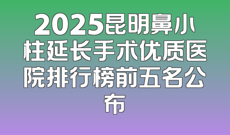 2025昆明鼻小柱延长手术优质医院排行榜前五名公布