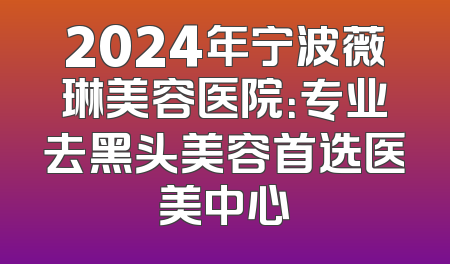 2024年宁波薇琳美容医院：专业去黑头美容首选医美中心