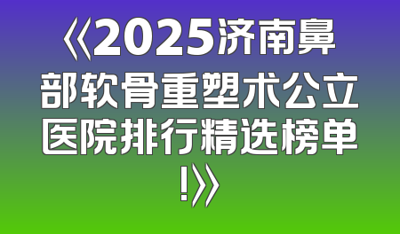 《2025济南鼻部软骨重塑术公立医院排行精选榜单!》