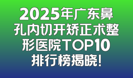 2025年广东鼻孔内切开矫正术整形医院TOP10排行榜揭晓！