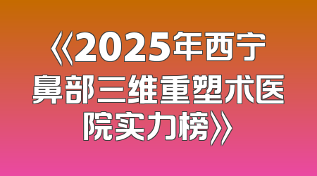 《2025年西宁鼻部三维重塑术医院实力榜》