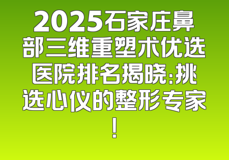 2025石家庄鼻部三维重塑术优选医院排名揭晓：挑选心仪的整形专家！