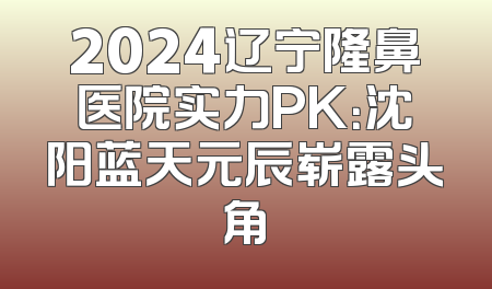 2024辽宁隆鼻医院实力PK：沈阳蓝天元辰崭露头角