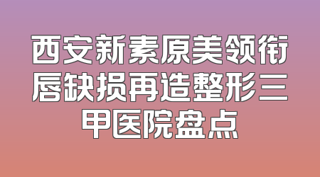 西安新素原美领衔唇缺损再造整形三甲医院盘点