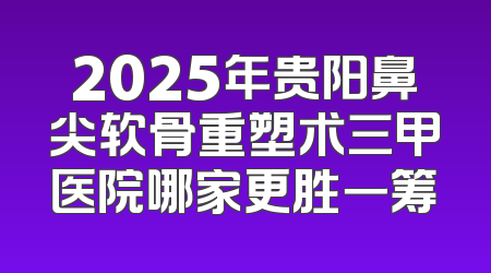 2025年贵阳鼻尖软骨重塑术三甲医院哪家更胜一筹
