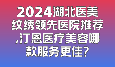 2024湖北医美纹绣领先医院推荐，汀恩医疗美容哪款服务更佳？