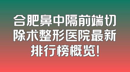 合肥鼻中隔前端切除术整形医院最新排行榜概览！