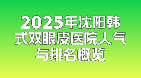 2025年沈阳韩式双眼皮医院人气与排名概览