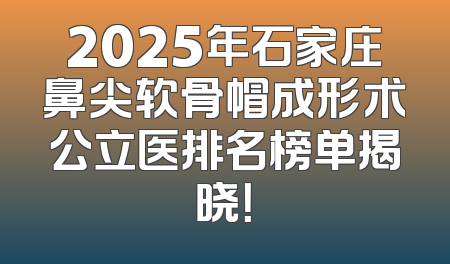 2025年石家庄鼻尖软骨帽成形术公立医排名榜单揭晓！