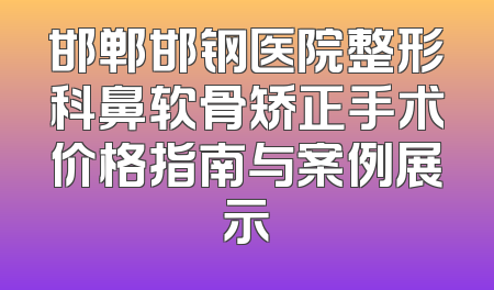 邯郸邯钢医院整形科鼻软骨矫正手术价格指南与案例展示