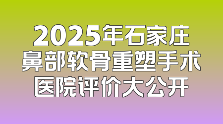 2025年石家庄鼻部软骨重塑手术医院评价大公开