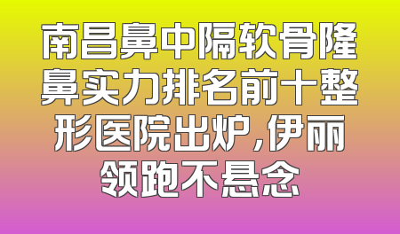 南昌鼻中隔软骨隆鼻实力排名前十整形医院出炉，伊丽领跑不悬念