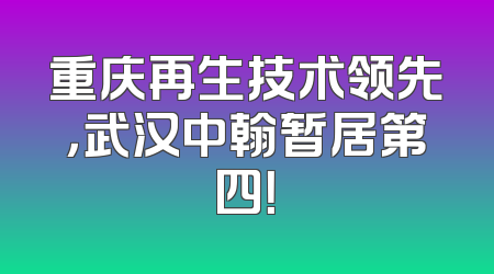 重庆再生技术领先，武汉中翰暂居第四！