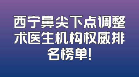 西宁鼻尖下点调整术医生机构权威排名榜单！