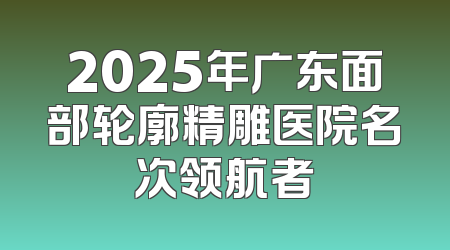 2025年广东面部轮廓精雕医院名次领航者