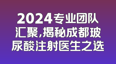 2024专业团队汇聚，揭秘成都玻尿酸注射医生之选