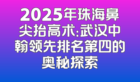2025年珠海鼻尖抬高术：武汉中翰领先排名第四的奥秘探索