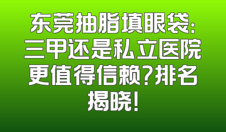 东莞抽脂填眼袋：三甲还是私立医院更值得信赖？排名揭晓！