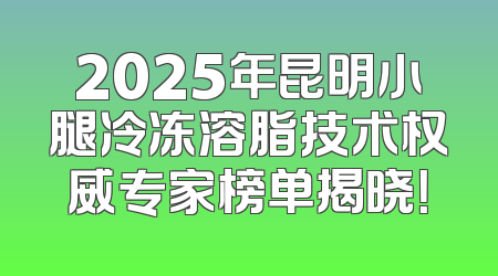 2025年昆明小腿冷冻溶脂技术权威专家榜单揭晓！