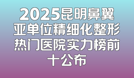2025昆明鼻翼亚单位精细化整形热门医院实力榜前十公布