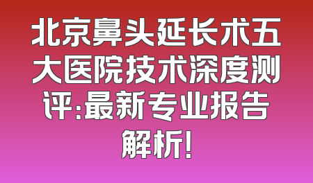 北京鼻头延长术五大医院技术深度测评：最新专业报告解析！