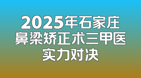 2025年石家庄鼻梁矫正术三甲医实力对决