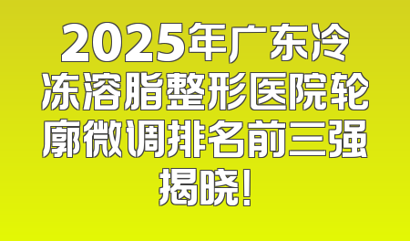 2025年广东冷冻溶脂整形医院轮廓微调排名前三强揭晓！